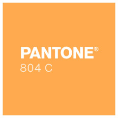 Slika izdelka: Barva Sun Chemical Pantone Fluo 804 ORANGE / 1 kg