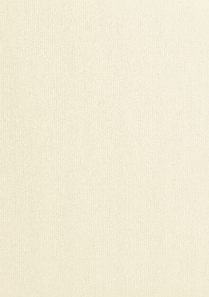 FS VERGE BLANC PERMANENT-SCORED B2 /200 pol