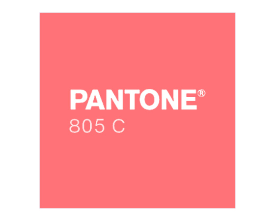 SUN PANTONE FLUO 805 RDEČA /1 KG