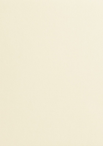 [00011143] FS VERGE BLANC PERMANENT-SCORED B2 /200 pol